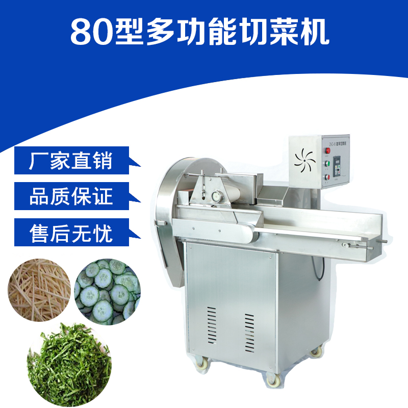 沈陽(yáng)80型多功能切菜機(jī)